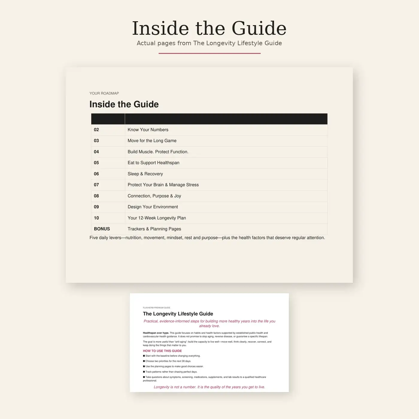 The Longevity Lifestyle Guide – Healthy Aging Guide for Women - Image 2